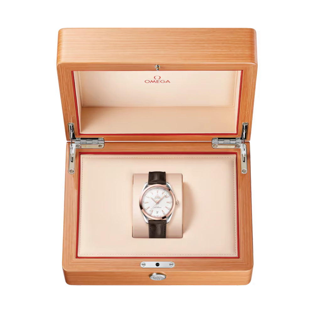 Seamaster Aqua Terra 150M Steel and Sedna™ Gold 41mm - Silver on Leather Strap